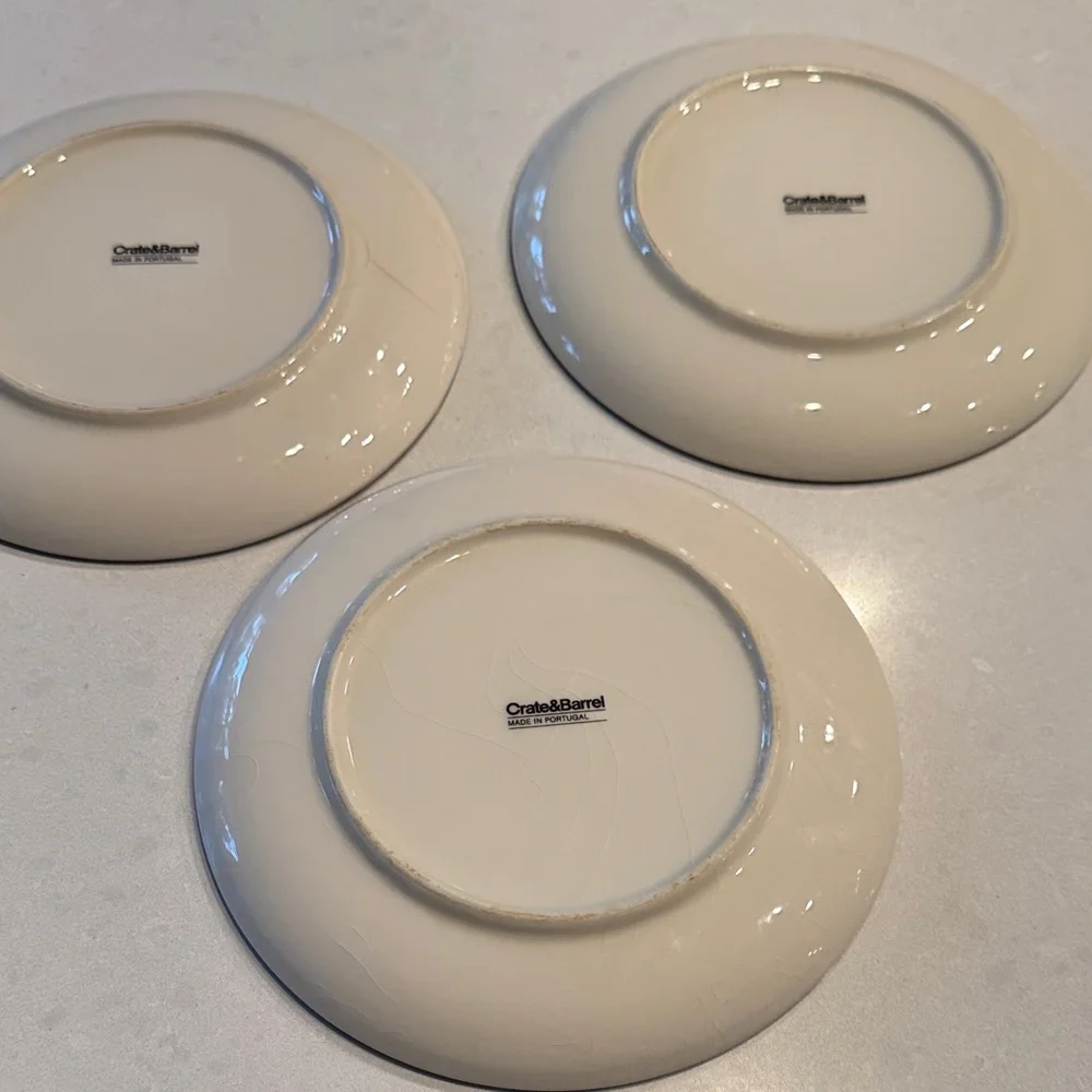 Crate&Barrel Botanical Dinnerware Set - Cream and Green 1 plate has small chips